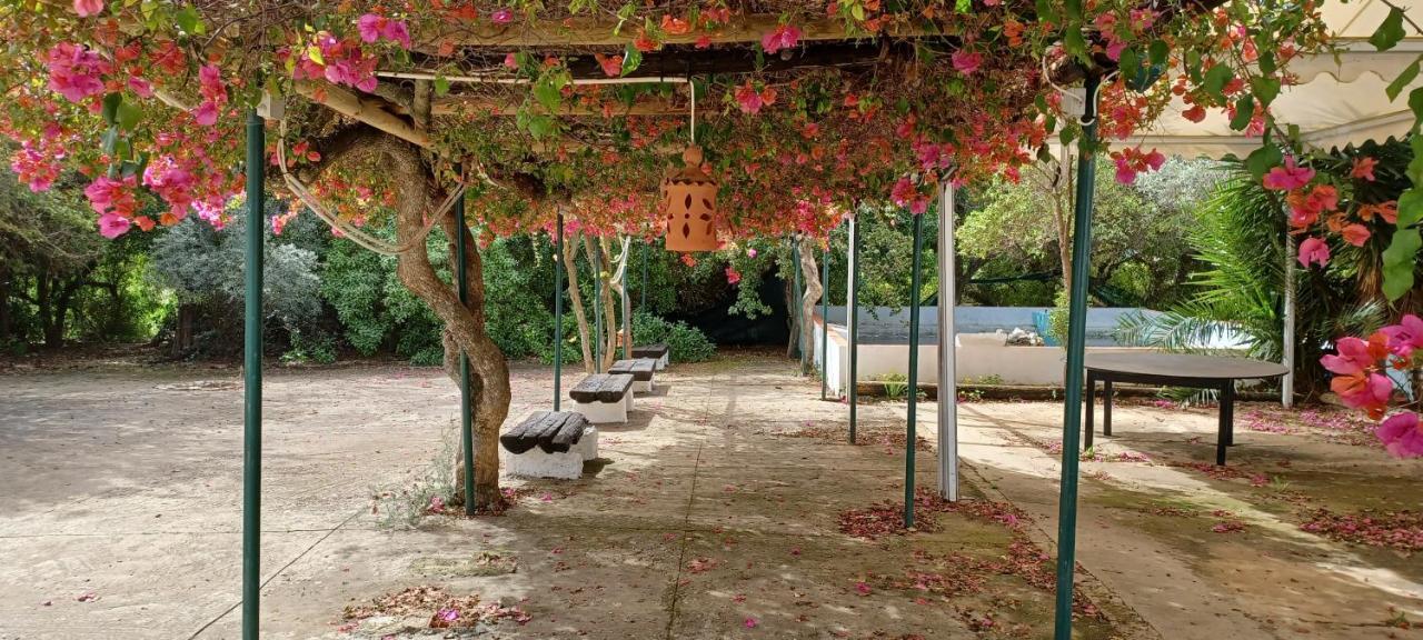 Quinta Velha 22 Lägenhet Tavira Exteriör bild